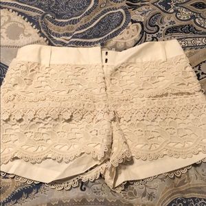 Loft Lace Shorts. New with Tags. 4” inseam.